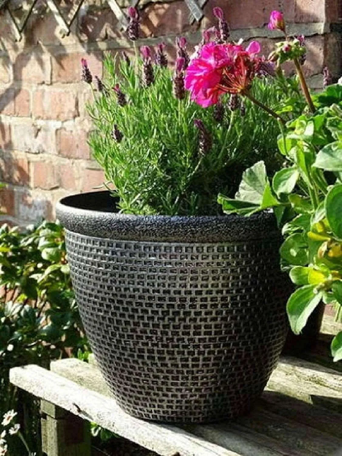 SG Traders™  25cm Antique Cromarty PLANT POT